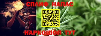 стаф Абакан